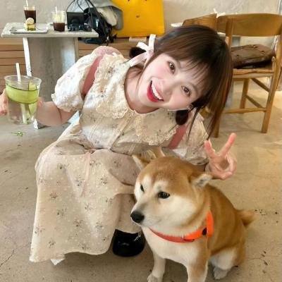 另一个梦之队